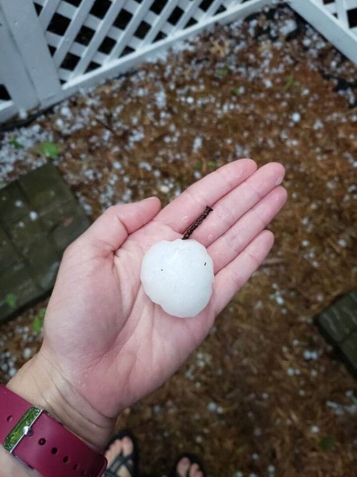 A photo of golf-ball sized hail held in someone's hand.